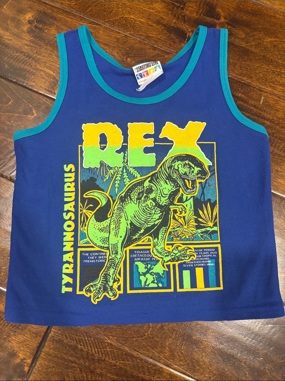 Vintage 90s Starting Line/Andover Togs Inc,  T. rex jersey. 4t
